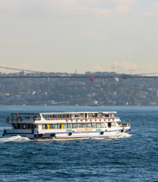 Untitled (231 x 266 px) (11)