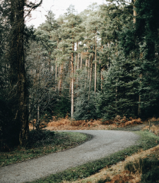 Untitled (231 x 266 px) (6)