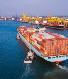 Untitled (231 x 266 px) (8)