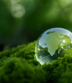 Untitled (231 x 266 px)